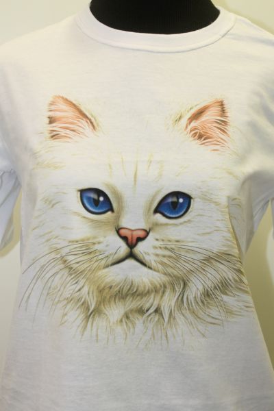 Camisa
